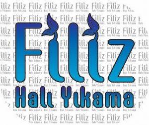filiz halı yıkama logo